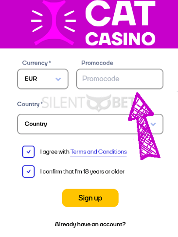 Cat Casino promo code enter