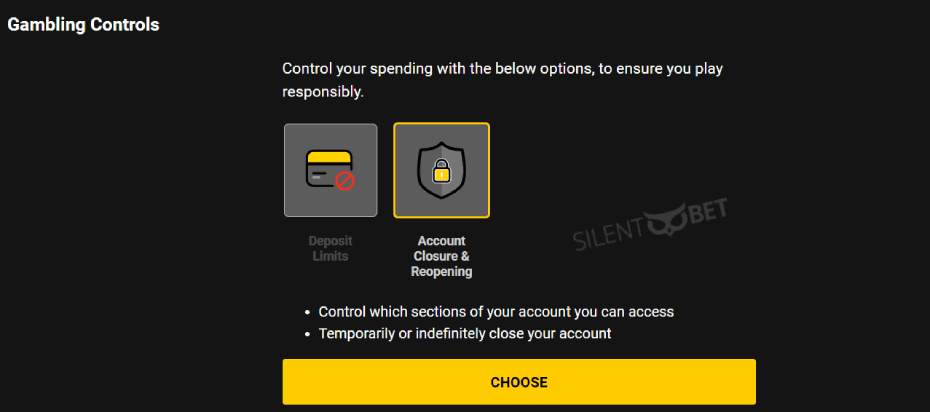 bwin reponsible gambling controls