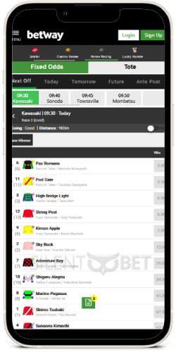 betway mobile horse racing betting on iphone