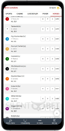 bovada racebook app