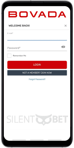 bovada mobile login