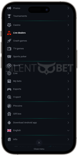 pin up casino mobile app menu