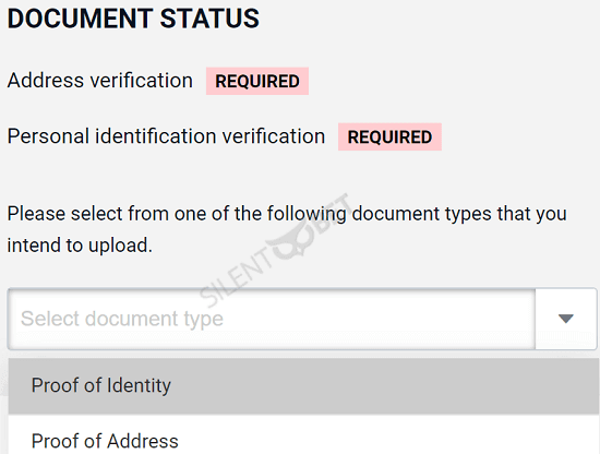 pinnacle verification docs