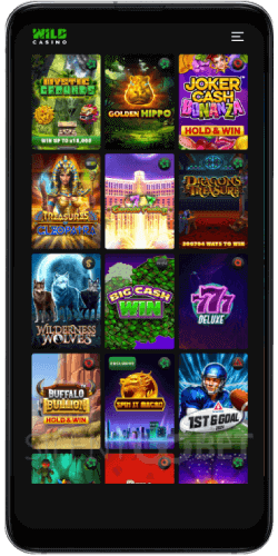 wild casino android games